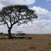  The Serengeti, TZ